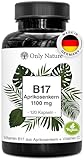 Vitamin B17 aus Aprikosenkernen 1100 mg – 120 vegane Kapseln mit Vitamin C – 100% Vegan & Ohne Zusatzstoffe – Laborgeprüft – Made in Germany – Aprikosenkerne B17 Vitamin