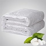 KJULKJKHJ Einfarbige chinesische Seidenbettdecken Winter Seidensteppdecke Seidendecke Doppel-/Zwillingsgröße Bettdecke