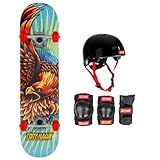 Tony Hawk Komplettes Skateboard, 7,75 Zoll, Einsteiger-Serie, Tony Hawk (Golden Hawk 7,75 Zoll, Schutz-Set L/XL)