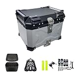 Motorradkoffer Topcase Schwarz 45-100 L Abschließbar, Fahrradkoffer Für Alle Gepäckträger, Inkl. Befestigungsmaterialien, Diebstahlsichere Befestigung, Touring Tresor ( Color : Silver with backrest ,