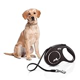 flexi® Classic M Gurt 5 m schwarz, Roll-Leine für Hunde bis 20 kg