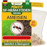 GREEN GUARDIA Super SF-Nematoden gegen Ameisen – 10 Mio. für 20m² - Biologisches Mittel zur effektiven Ameisen Bekämpfung – Umweltfreundlich, chemiefrei, einfache Anwendung