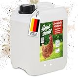 Home Shield Kalkfarbe Hühnerstall flüssig 5L Kanister, weiß - Schadstofffreies Streichkalk, ready to use - Matte, naturweiße Stallfarbe mit hoher Deckkraft für Ställe - 5 Liter