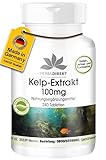 Kelp Extrakt 100mg - 240 Tabletten - hochdosiert - vegan - natürliches Jod | HERBADIREKT by Warnke Vitalstoffe - Deutsche Apothekenqualität