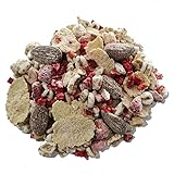BIRCHER HERBSTGARTEN BIO MÜSLI mit gefriergetrockneten Erdbeeren I Haferkleie I Mandel & Haselnuss I Haferflocken I Vegan I 600g