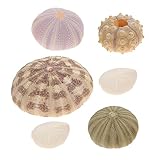 MAGICLULU 6Stücke Aquarium Seeigel Dekorationen Seeigel Ornamente Für Aquarienlandschaften Gemischte Für Gestaltung Von Zufällige Farben