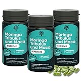 RedMoringa Hochdosierte Kapseln mit Tribulus Terrestris und Bio-Moringa für gesteigerte Leistung und Muskelunterstützung | 100% Natürlich | (180 Kapseln)