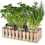 Chefarone Kräutertopf Küche Set Fensterbank - Kräutergarten Indoor praktisches 3er Set - Kräutertöpfe Küche für frische Gartenkräuter