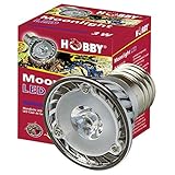 Hobby 37595 Moonlight LED 3 W, 1 Stück (1er Pack)