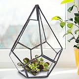 Mayueri Stilvolle geometrische Form Blumentopf Glas Pflanzgefäß Sukkulenten Behälter Dekoration