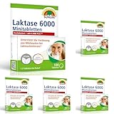 SUNLIFE Laktase 6000 Mini-Tabletten - 1 x 100 Stück - hochwertige Laktasetabletten mit 6.000 FCC pro Tablette - hochdosierte Laktoseintoleranz Tabletten - gluten- & sojafreie Laktose Tablette