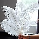Ovanda 10 Stück 15-20 cm Weiße Straußenfedern, Natürliche Straußenfedern, Dekorative Federn, für Blumensträuße,Bastelarbeiten,Vasenfüller,DIY Bastelprojekte,Hochzeitsdeko,Party Kostümzubehör,Tischdeko