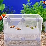 Aufzuchtbecken Aquarium mit Isolation Netz und Saugnäpfe - Ablaichkasten/Ablaichbecken für Aquarium - Zuchttanks Trennnetz für Aquarien - Babybecken Quarantänebecken Zuchtbecken - 260 x 155 x 150 mm