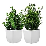 Homoyoyo 2 Stück Realistische Sukkulenten Künstliche Pflanzen im Topf Pflegeleichte Fake Bonsai Deko für Büro Wohnzimmer Küche Indoor Outdoor Dekopflanzen