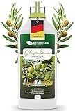 Dünger für Olivenbäume - Olivembaum Dünger Flüssig - 1L Biologischer Olivenbaum Spezial-Dünger aus Vinasse - Ökologischer Olivendünger für gesundes Pflanzenwachstum