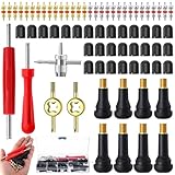 Xialvyu 73-teiliges Ventilwerkzeug Set für Auto, Motorrad und Fahrrad Ventilentferner und Reparaturset mit Doppel und Einfachkopf, Ventilschlüssel für Reifenventile