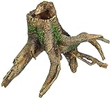 Lucky Reptile Tree Stump