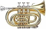 Classic Cantabile Brass TT-400 B-Taschentrompete (Messing, Schallbecher Durchmesser: 93 mm, Bohrung: 11,8 mm, Stimmung: B, inkl. Leichtkoffer, Mundstück, Putztuch, Handschuhe) klar lackiert