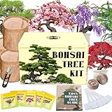 EquSym Bonsai-Baum-Set – 5 Arten Bonsai-Baum-Anzucht-Set für Anfänger, Bonsai-Werkzeug-Set mit Erde, Töpfen, Schere, Pflanzenhersteller, Bonsai-Baum im Innenbereich, Bonsai-Anfänger-Set,