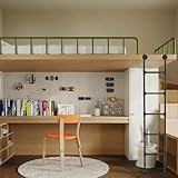 DUANHOZ Robuste Sicherheitskletterleiter für Kellerfensterschächte, Feuerleiter für den Außenbereich, Dach/Garage, bodenstehende Leiter für Hochbetten, 100 300 cm, Schwarz