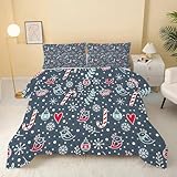 Bettdecke 155x220 4 Jahreszeiten,Weihnachten mit Stechpalmenblättern Vierjahreszeiten Steppdecke Ganzjahresdecke - Schneeflocken Bettdecke Ohne Bezug Waschbar mit 2 Kissenbezug Kiefer - DF72