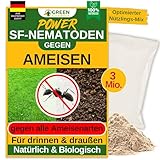 GREEN GUARDIA Super SF-Nematoden – Natürliche Unterstützung bei Ameisen im Garten – umweltfreundlich, ohne Chemie, einfach anzuwenden (3 Mio. für 6m²)