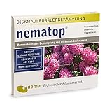 nematop® HB Nematoden zur Bekämpfung des Dickmaulrüsslers, Insekten - 10 Mio. für 20m²