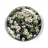 LWAY Kristall Kuppel Glas Briefbeschwerer 80mm (DAISY)