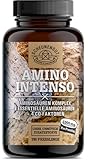 Aminosäuren Komplex hochdosiert -WICHTIG: Vegane Amino Tabletten mit 12 verschiedenen Aminosäuren -EAA Pattern Presslinge- DE 6000mg AMINO INTENSO® pro Dosis von SCHEUNENGUT®
