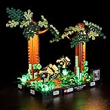 YEABRICKS LED Licht für Lego-75353 Star Wars Verfolgungsjagd auf Endor Diorama Bausteine Modell (Lego Set Nicht enthalten)