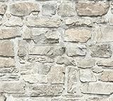 A.S. Création Elements Vliestapete mit Steinmotiv Naturstein 0,53 x 10,05 m – Grau, Beige – Stein Tapete Made in Germany – 363702