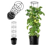 KADAX Tomatentopf mit Rankhilfe Tomatenzüchter, Pflanzkübel aus Kunststoff mit Rangitter, Topf für Tomatenpflanzen, Pflanzen-Aufzucht-Turm, Stütztopf für Rankpflanzen (⌀30cm, Anthrazit)