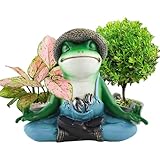 Frosch-Pflanztöpfe, Sukkulenten, Frosch, Sukkulenten, aus Kunstharz, für den Garten, kleiner Blumentopf, Sukkulenten, Sukkulenten, Sukkulenten, Sukkulenten