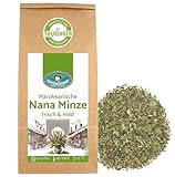 Nana Minze Tee 250g - Aromastarke Marokkanische Minze aus nachhatligem Anbau I Spearmint, Krauseminze I PeppermintMan