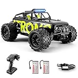 dexinco Ferngesteuertes Auto, 4WD RC Auto, 40 km/h Schnelles RC Truck, 1/18 All Terrains Geländewagen RC Crawler, 2.4GHz RC Fahrzeug, 2 Akku 60 Min, für Kinder ab 8 Jahren/Erwachsene -1813 Grün
