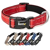 lionto Hundehalsband aus strapazierfähigem Nylon, Größe M, weiches gepolstertes Halsband für Hunde, 360° reflektierend & Klickverschluss, Metallring & Anpassung durch stufenlosen Schieber, rot