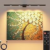 Bild Licht mit Fernbedienung batteriebetrieben, drahtlose Malerei Licht Kunst Licht 400LMLight for Picture Art with Remote Metal