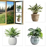 Potch Wandsticker - Fensteraufkleber, dekorative Aufkleber | Grüne Aufkleber Tropische Pflanzen in Töpfen, doppelseitiges Design für Fenster, Möbel, Möbel, Dekoration, Diese Aufkleber bieten eine