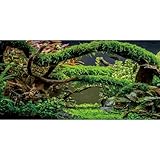 MIRRORANG 120x50cm Aquarium Hintergrund Zweige Terrarium Hintergrund Wasserpflanze Flussbett & See Aquarium Hintergrund Vinyl Hintergrund