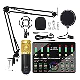 RUHEN Professioneller Audiomixer, Mikrofon Bluetooth Wireless Karaoke mit Live-Streaming DJ10 Soundkarte für PC Phone Singing Gaming