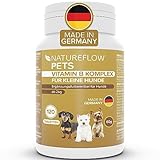 NATUREFLOW Vitamin B Komplex Hund Made in Germany - Hochdosierte B Vitamine für Hunde ab 2kg - 120 Vitamintabletten - Ergänzt um K3, Folsäure, Calcium und Biotin für Hunde