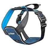 CarSafe Crash-getestetes Hunde Sicherheitsgeschirr, Crashtest-geprüft bis zu 32 kg / 70 lbs, sichert den Hund zuverlässig im Auto, komfortables und gepolstertes Design, für mittelgroße Hunde (Größe M)