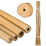 Relaxdays Bambusstäbe 150cm, aus natürlichem Bambus, 25 Stück, Bambusstangen als Rankhilfe oder Deko, zum Basteln, natur