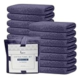 Linteum Textile Premium Waschlappen-Set – 30,5 x 30,5 cm (12 Stück) Dove – 100 % Baumwolle, ringgesponnene Waschlappen, sehr saugfähige und weiche Gesichtshandtücher für Badezimmer, Spa und