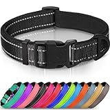 Joytale Halsband Hund, Gepolstertes Hundehalsband Breit aus Neopren Nylon Hundehalsband Verstellbar für Kleine Hunde, Weich und Reflektierend Hundehalsbänder, S, Schwarz