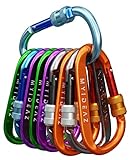 MyIdeaz Karabiner mit gefederter Verschluss, 10er Set, 80mm große Karabinerhaken aus hochwertigem Premium Alu für Camping, Wandern (10 B,G,O,P,G,B,G,O,P,G)