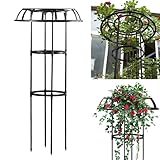 Metall Schirmspalier - Rostfreier Stützrahmen für Kletterpflanzen ideal für Gartenblumen und Reben
