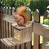 YIHAOBOX Eichhörnchen Futterhaus wetterfest - Stabiles Eichhörnchen Haus aus Holz mit Eichhörnchen Futterstation inkl. Belüftungslöchern, Eichhörnchen Kobel zum Stellen, Geflammt