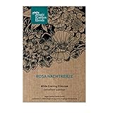 Rosa Nachtkerze (Oenothera speciosa) ca. 300 Samen der mehrjährigen Staude Steingartenpflanze Präriepflanze Blume Bienenweide