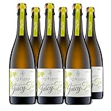 van Nahmen | Sparkling Juicy Tea Verbene-Jasmin-Riesling (BIO) (6x0.75l)